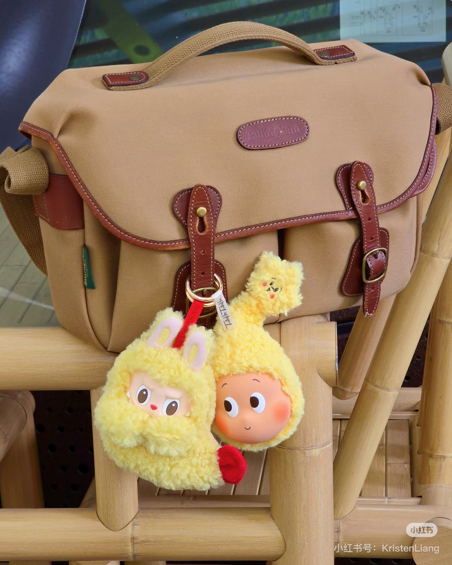 image_31BC25AC-F7B5-4C10-B0B8-99CC601E69CE_1765323209