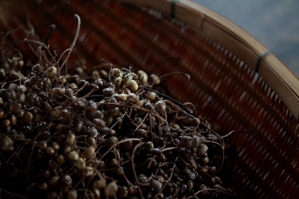 DAIYO_Brand_Image_12-2-1024x683