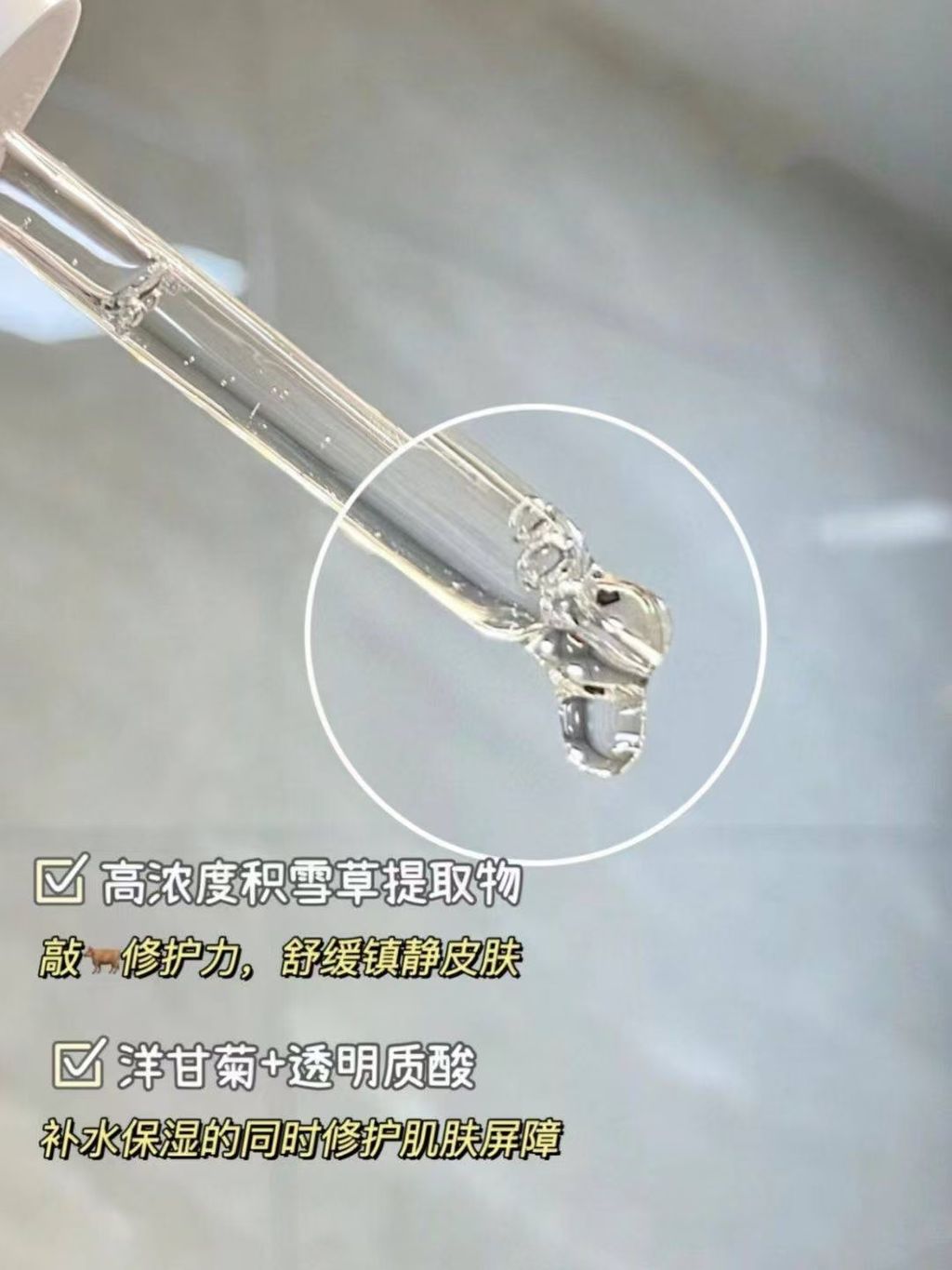 mmexport1734087458234