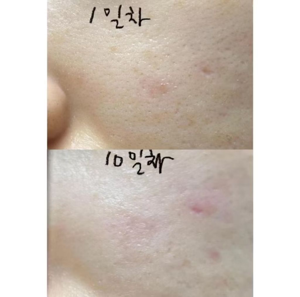 mmexport1734174361663