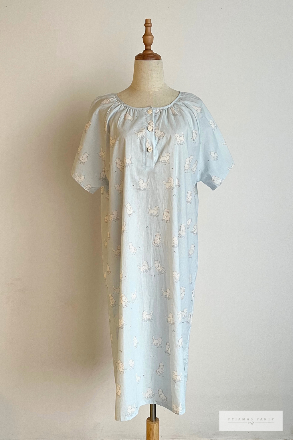 Soft Blue Cat (3)