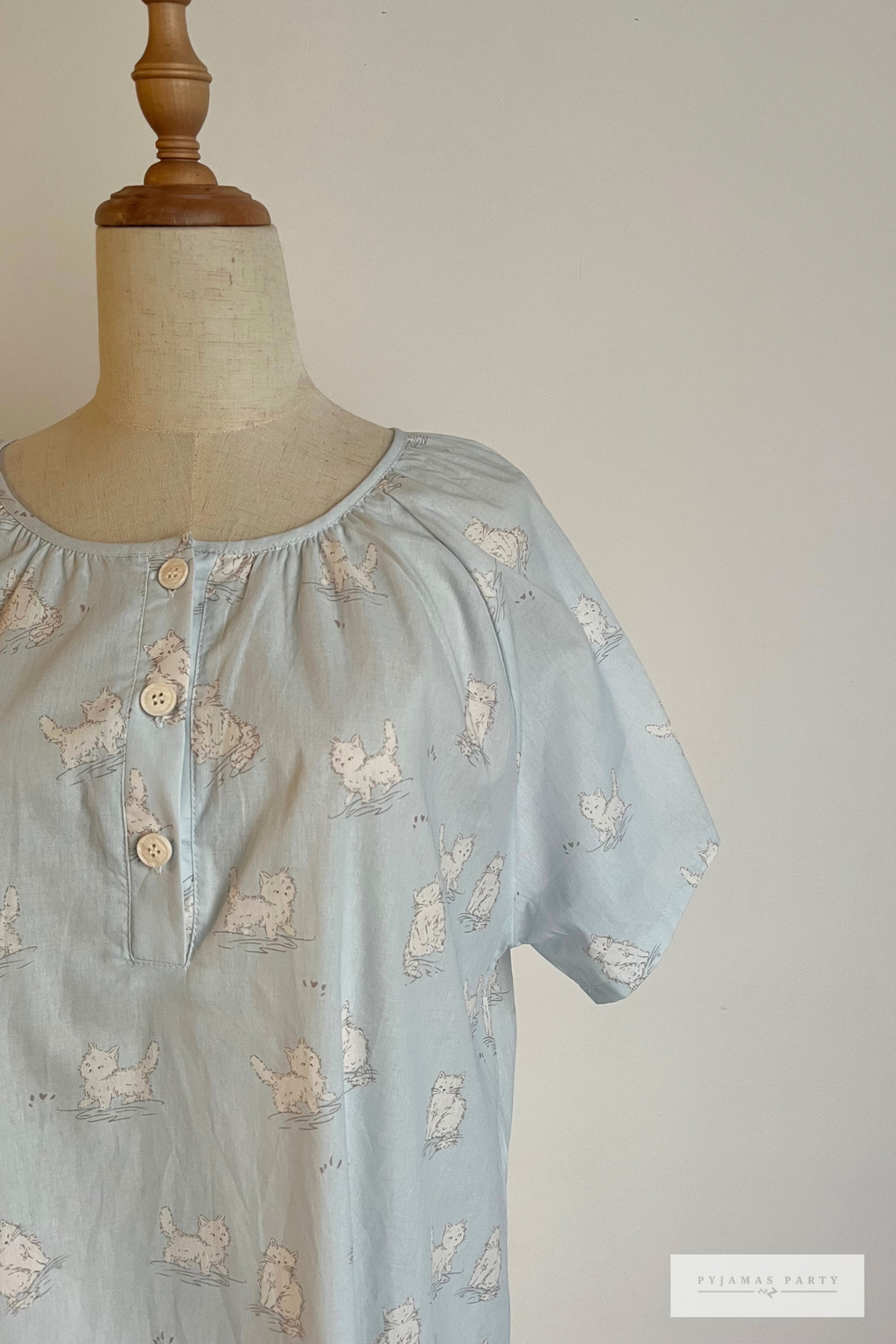 Soft Blue Cat (6)