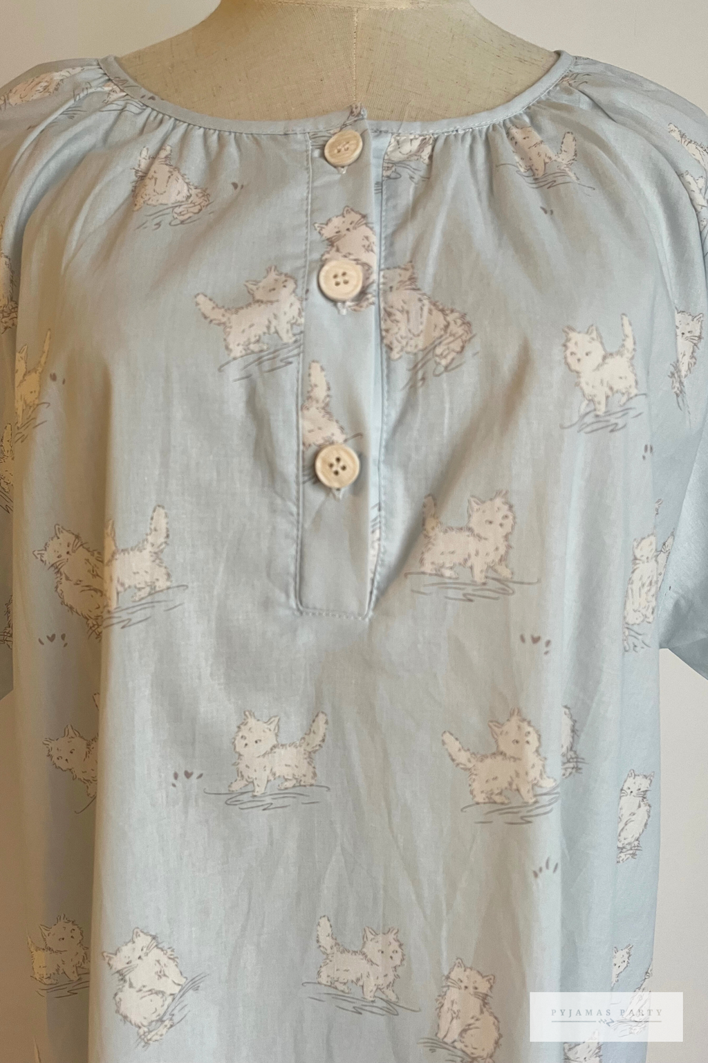 Soft Blue Cat (5)