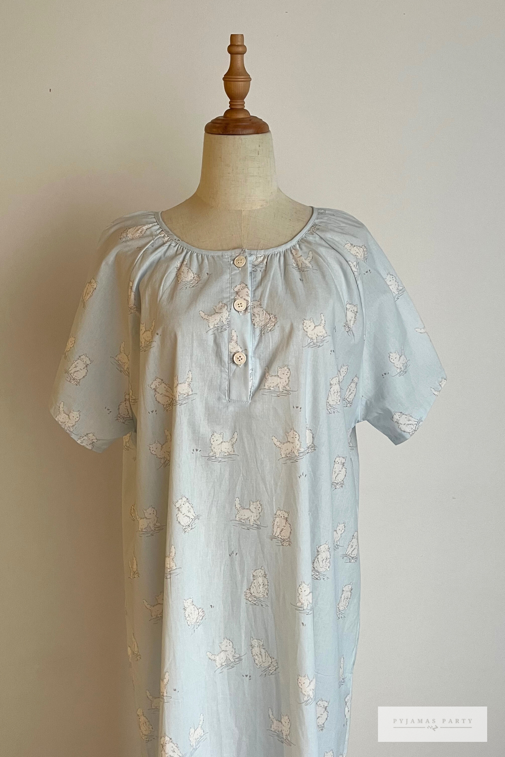 Soft Blue Cat (4)