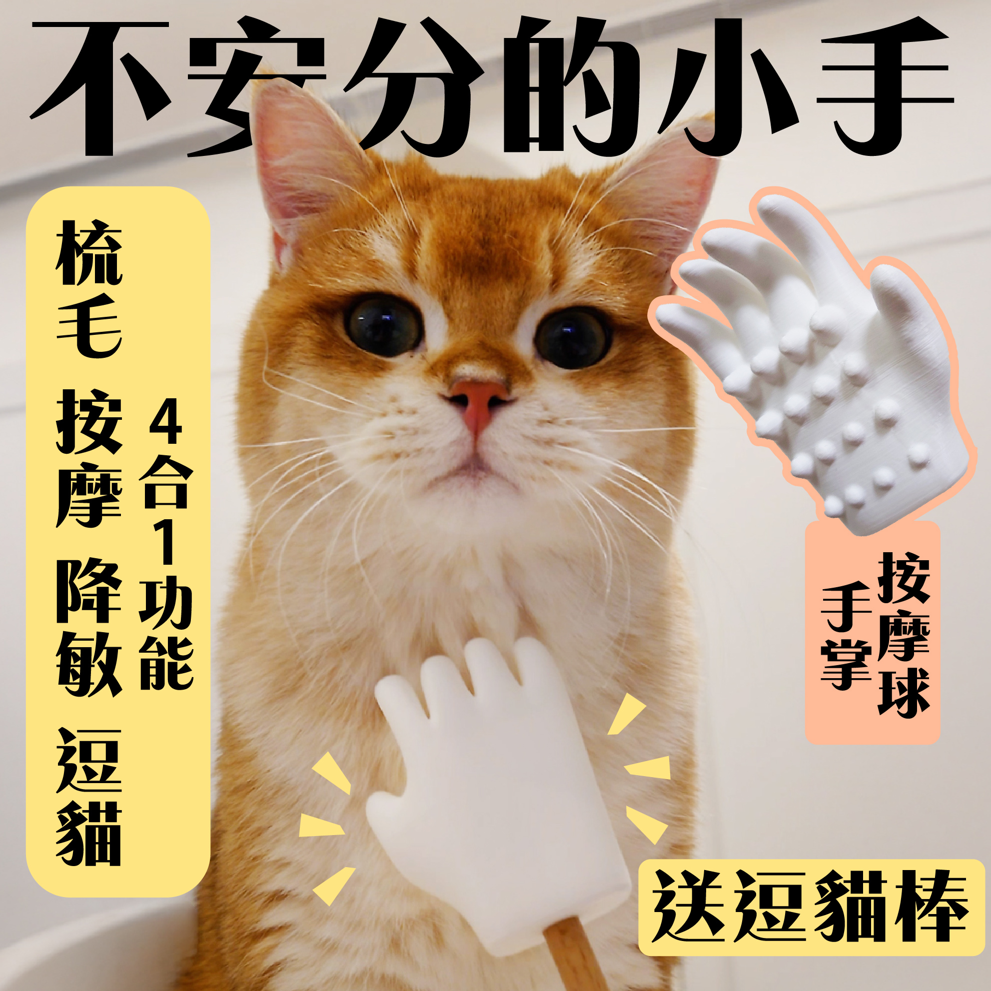 更改蝦皮的首頁圖-24-23