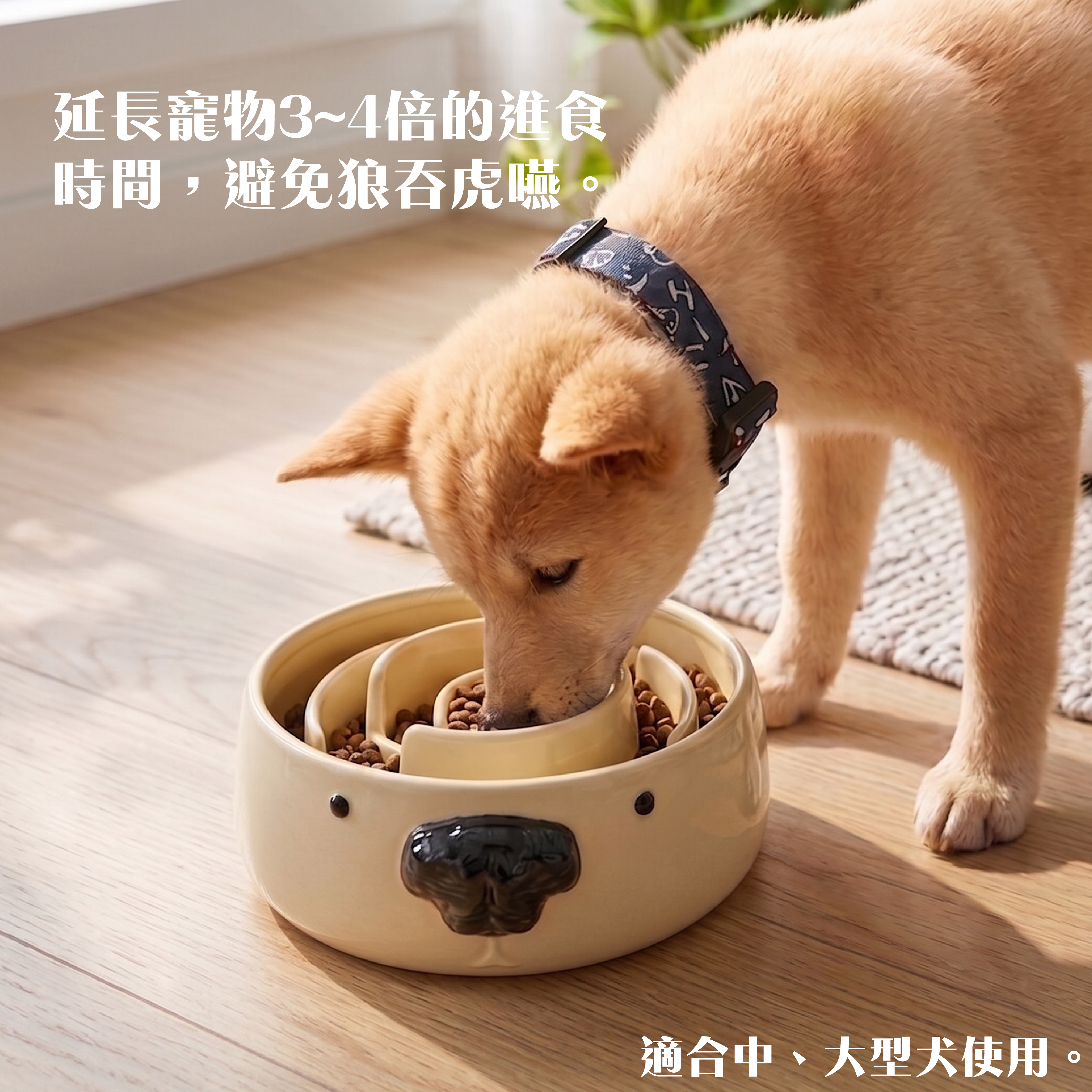網頁設計圖_工作區域 1 複本