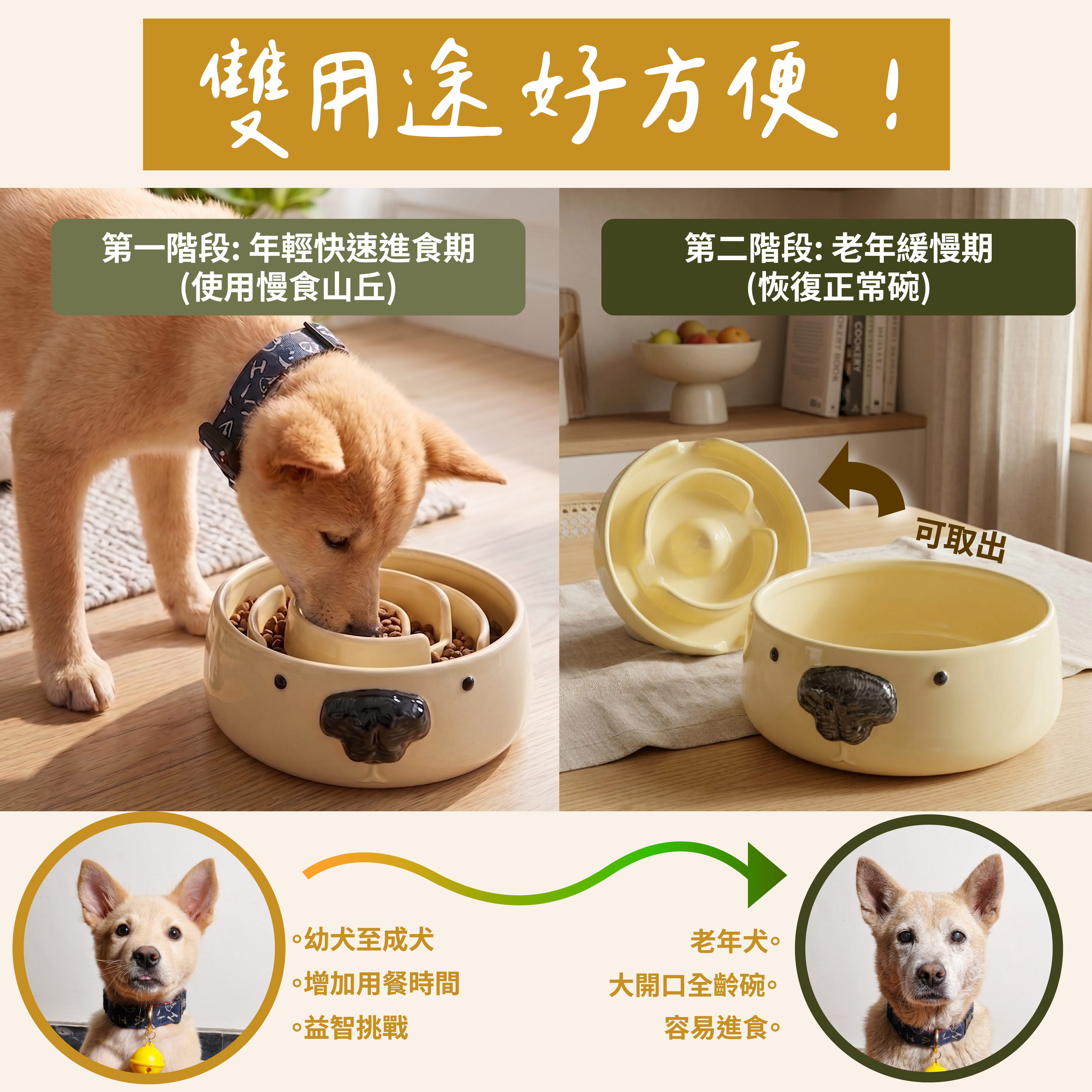網頁設計圖_工作區域 1 複本 5