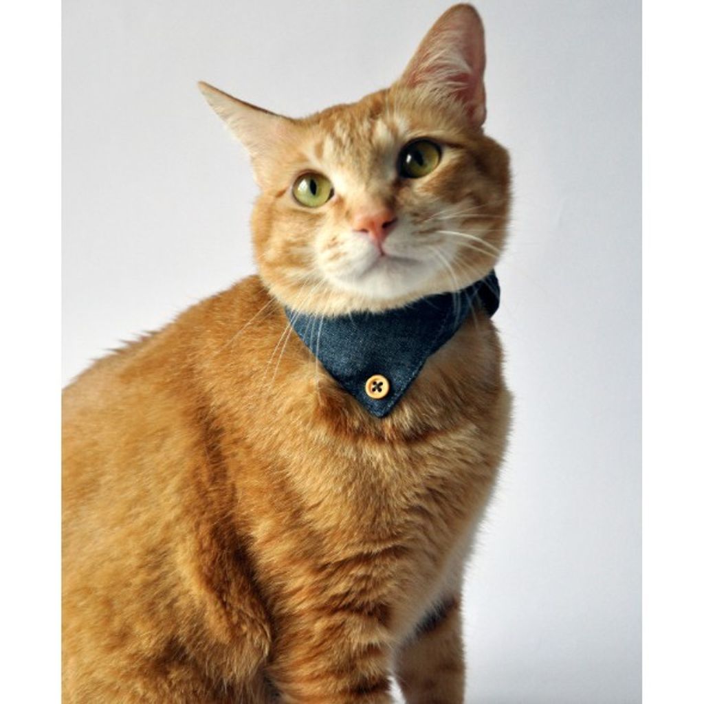 5a79d9dbbd5c03f3b2975f8b68d80d77