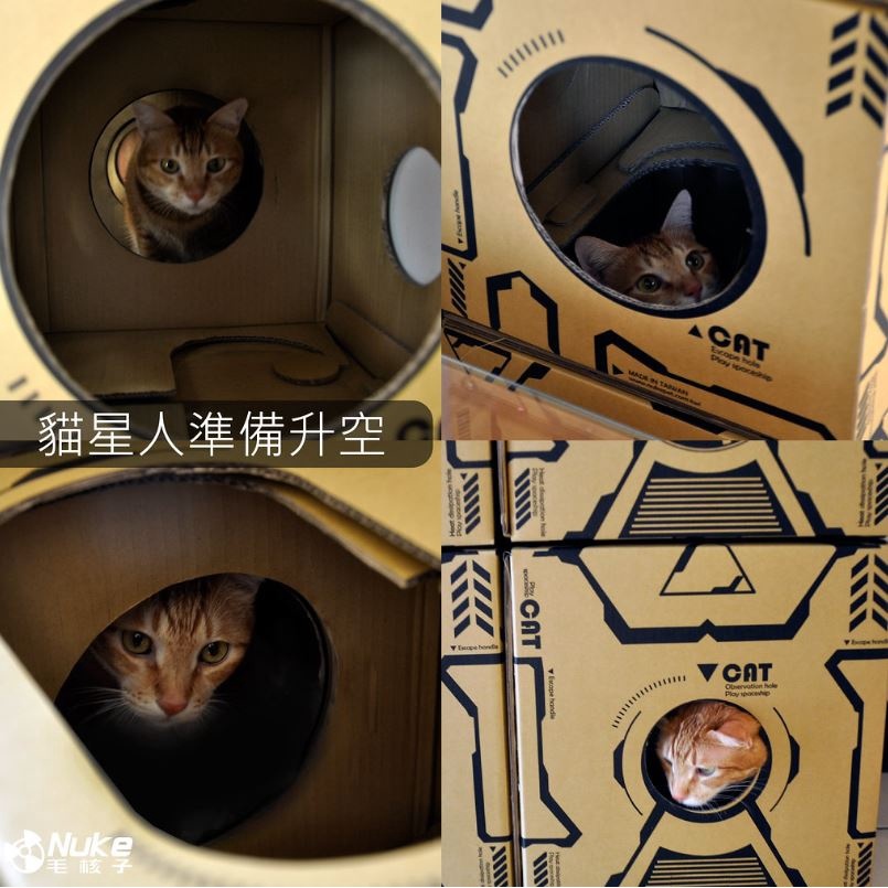 貓咪太空艙cat space 貓屋紙貓屋組合貓屋– Nukepet