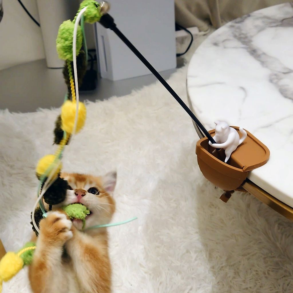 20250314_201818.00_00_09_11.Still001