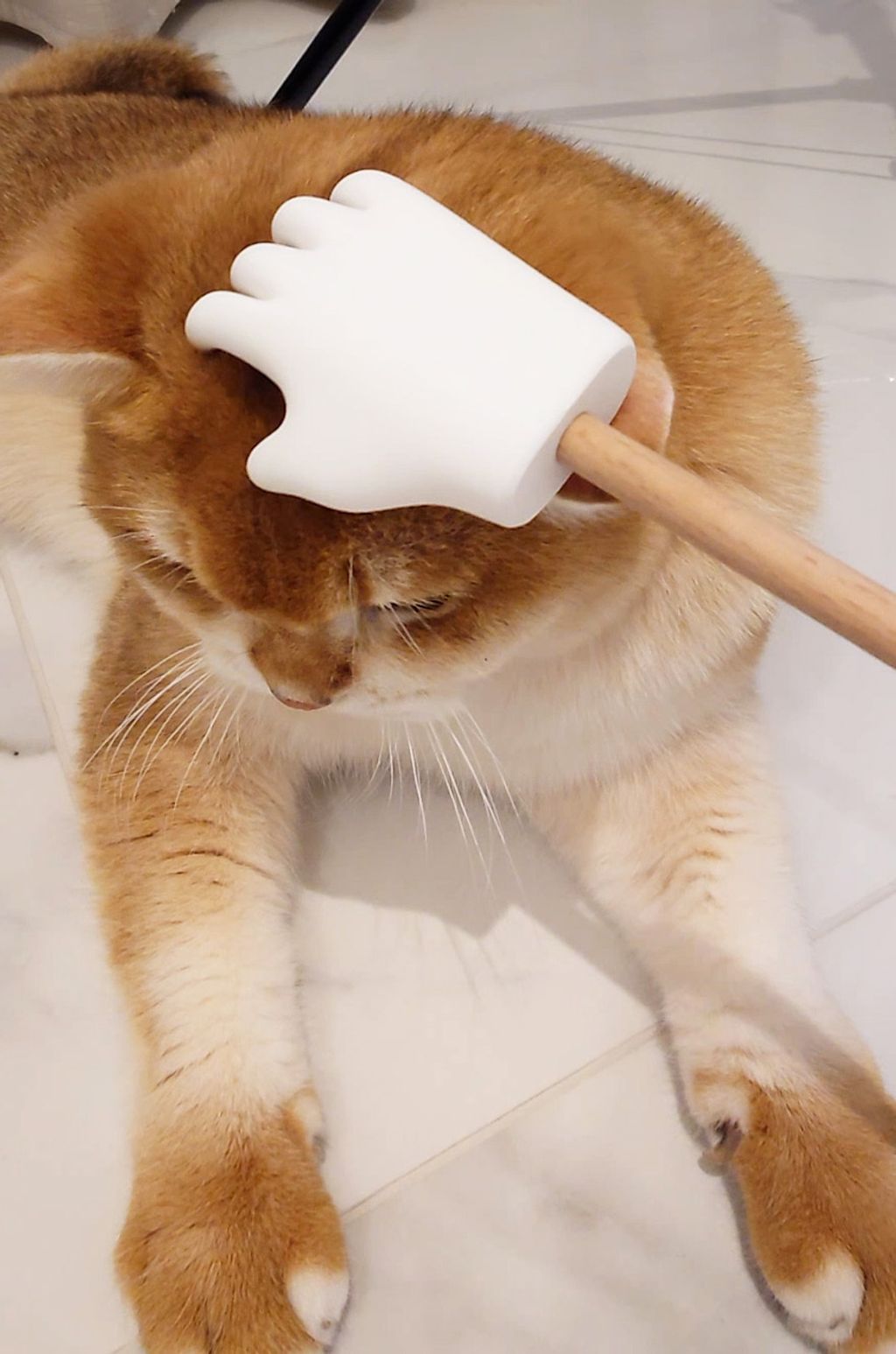 20251017_224244.00_00_49_29.Still004