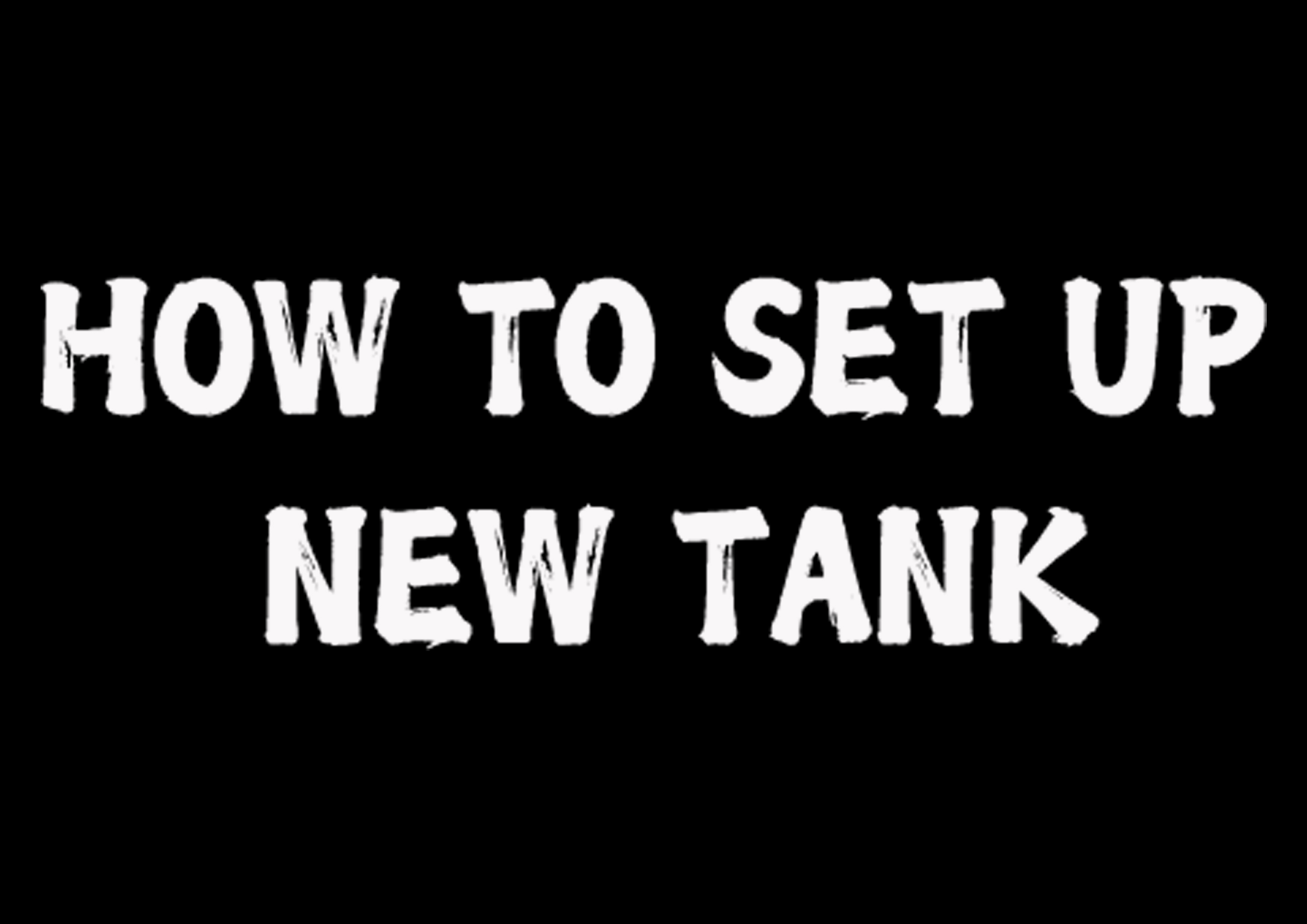 How To Set Up New Tank