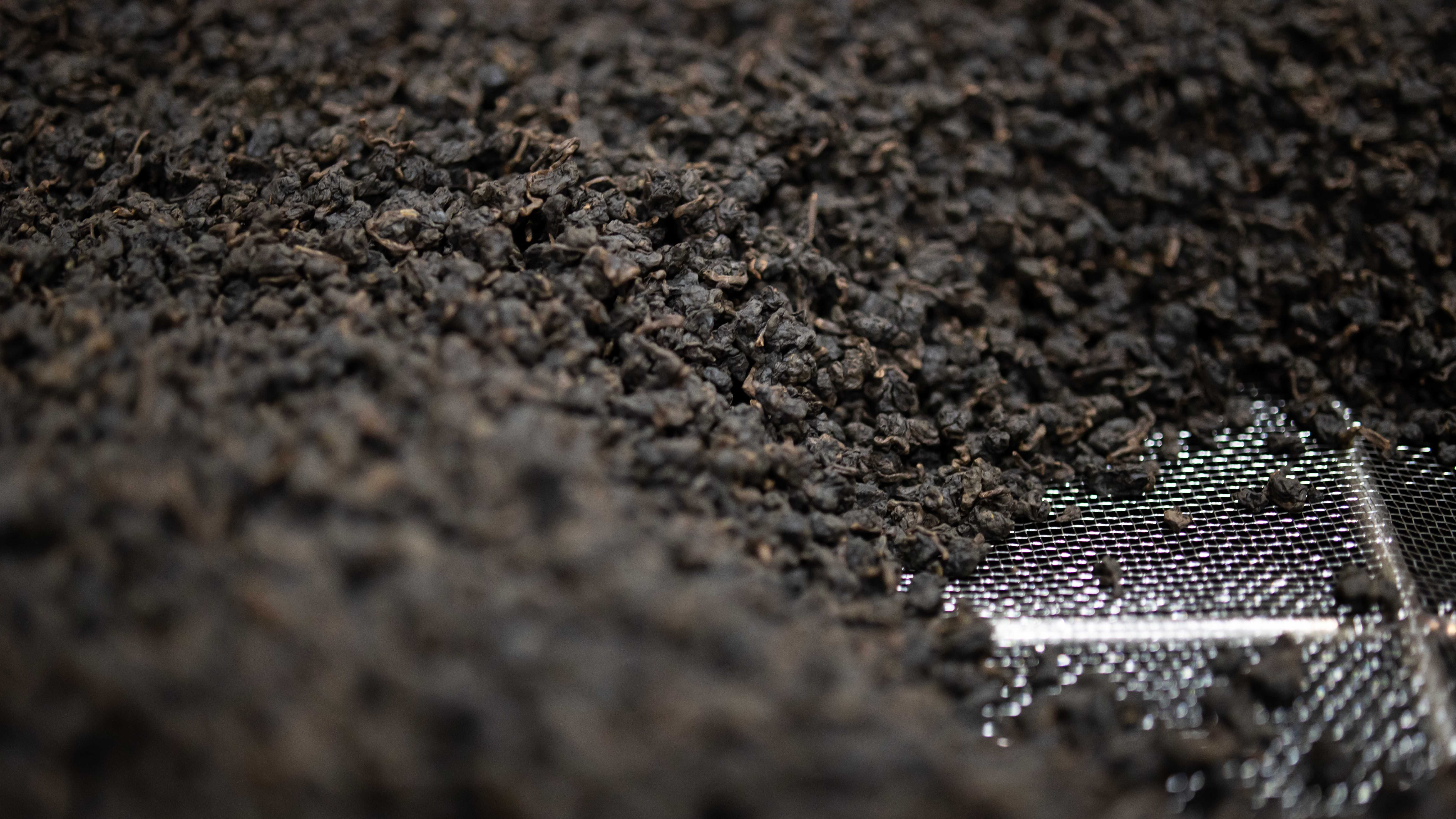 凍頂烏龍茶 | 山生有幸 mountain luck