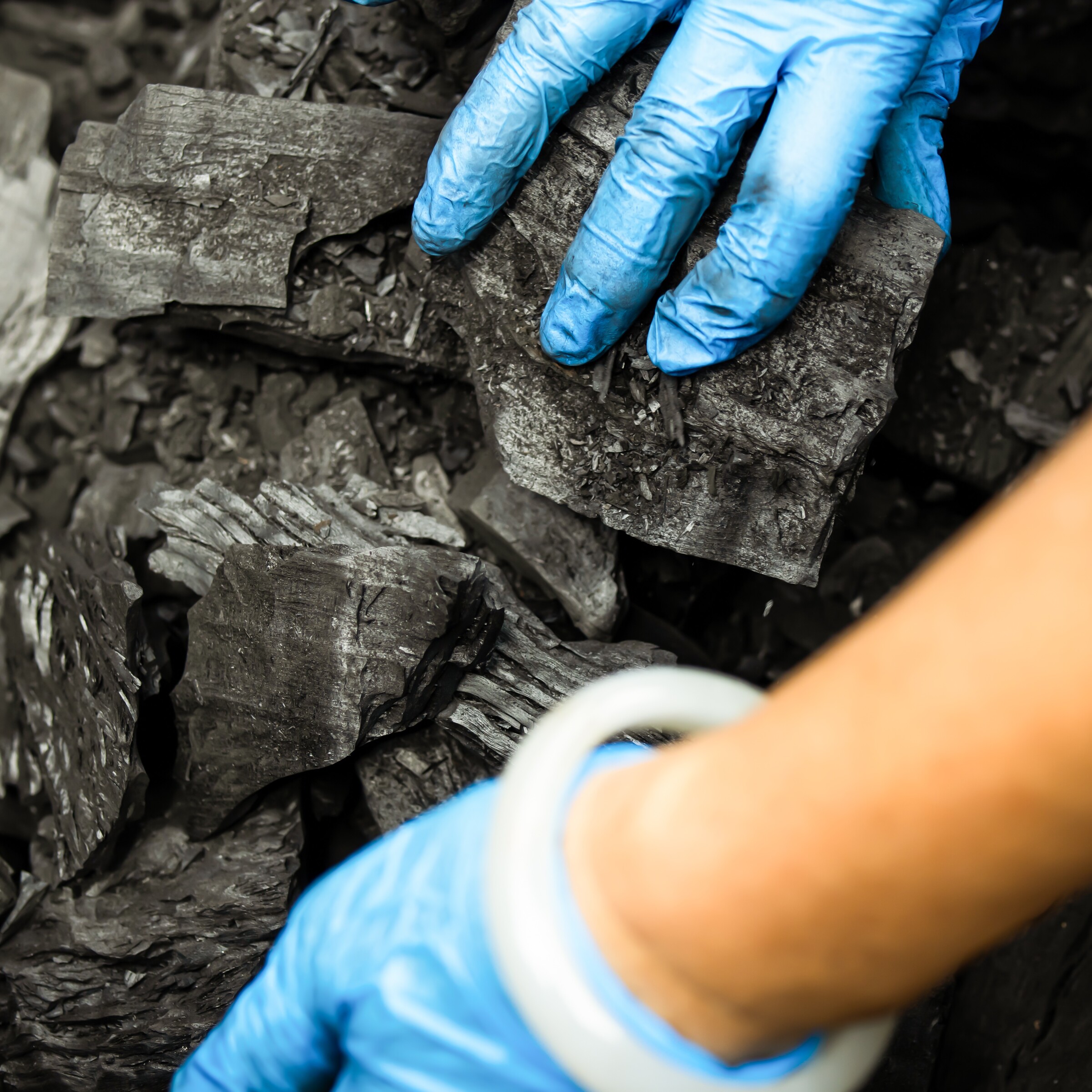 半生熟烏龍 形象