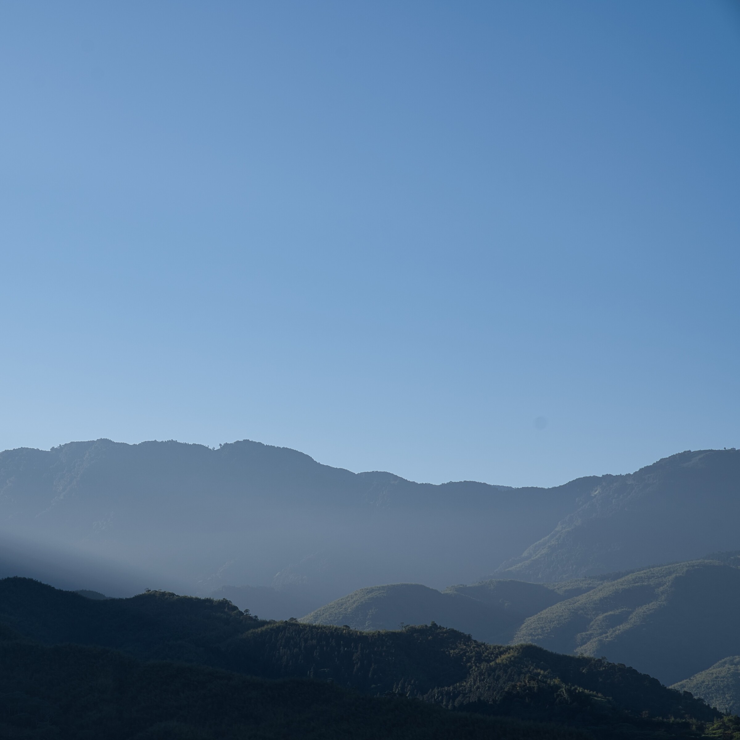 凍頂茶區_DSC09209-4