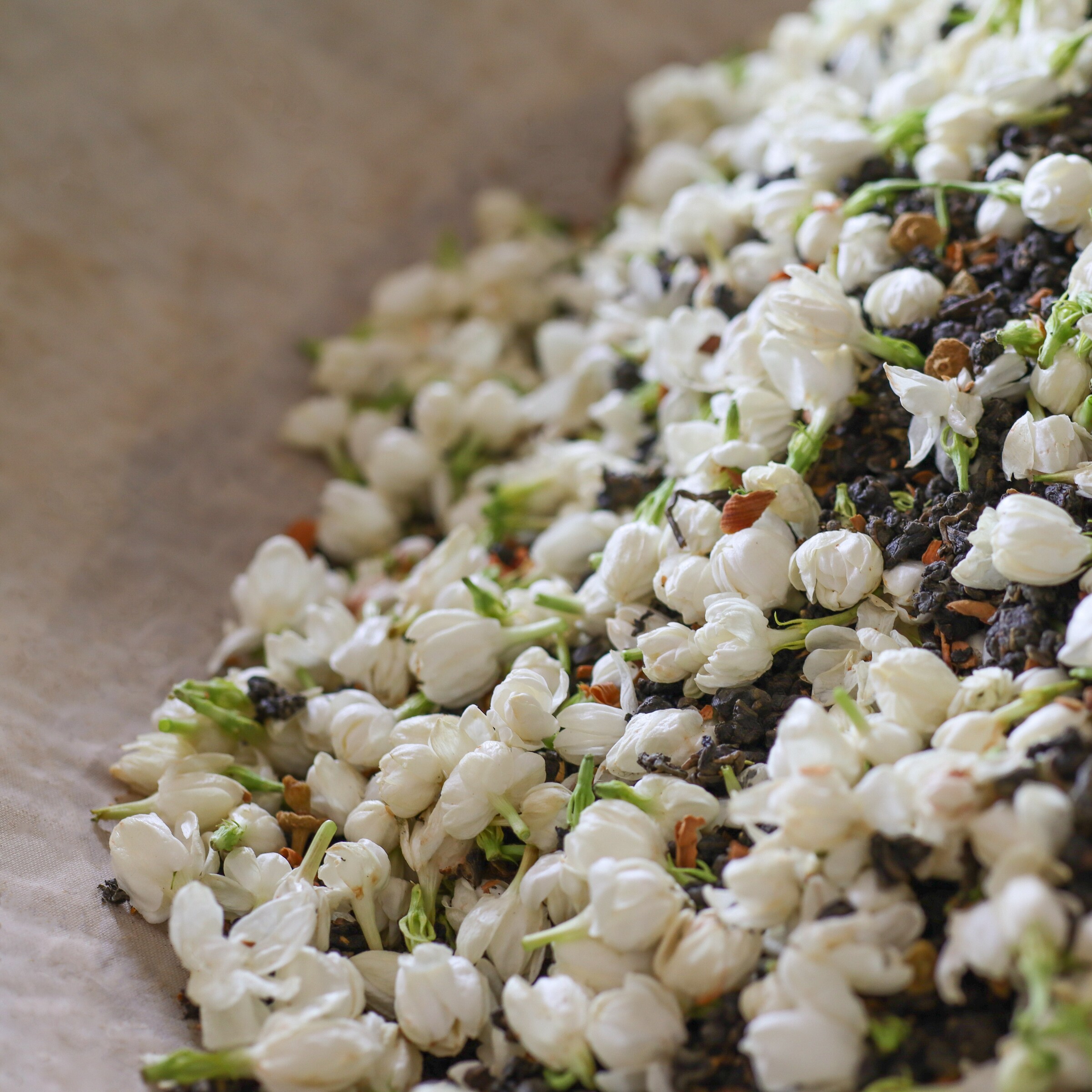 茉莉花烏龍 形象