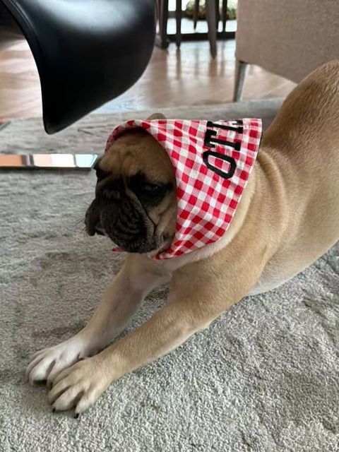 WeChat 圖片_20250618180347