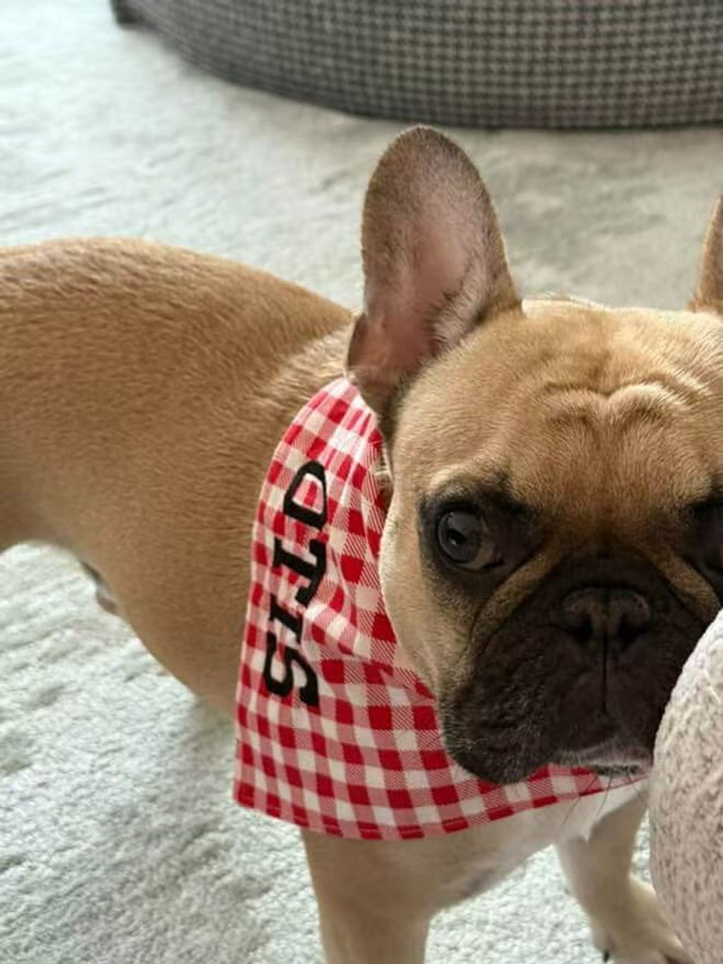 WeChat 圖片_20250618180350