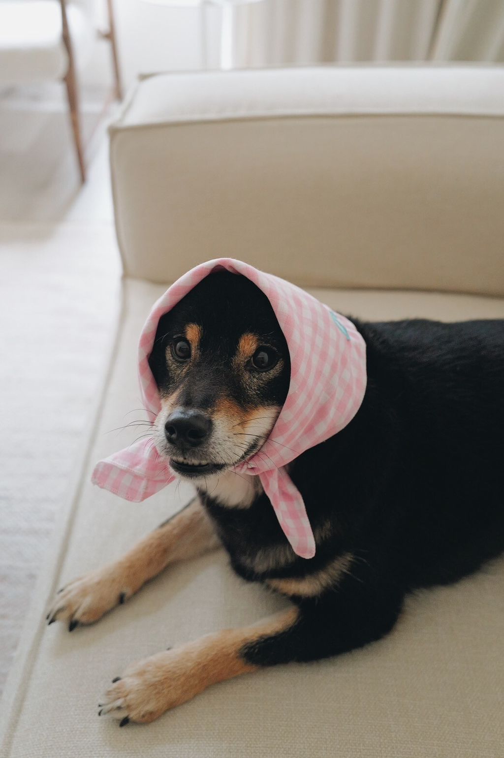 LINE_ALBUM_2025625_250626_13