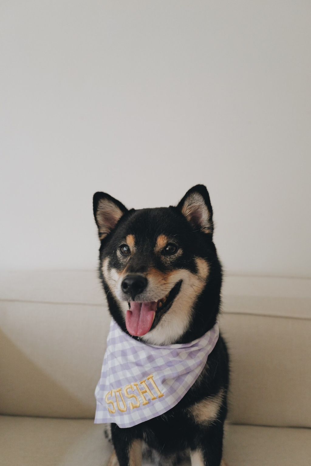 LINE_ALBUM_2025625_250626_6