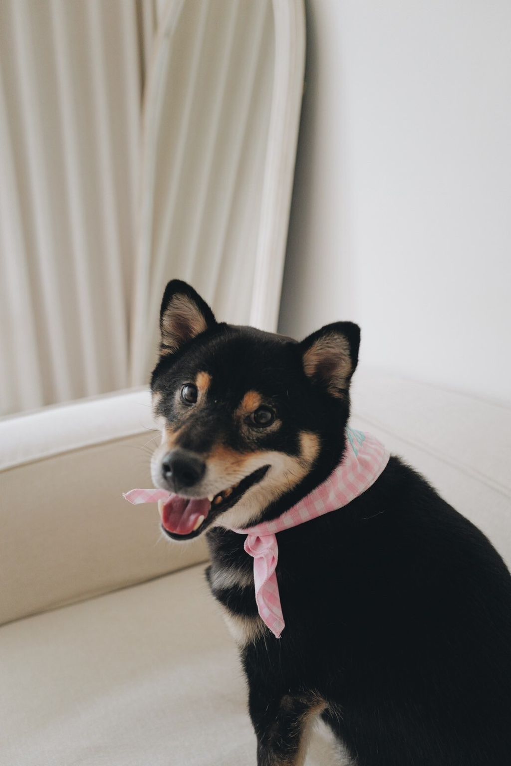 LINE_ALBUM_2025625_250626_1