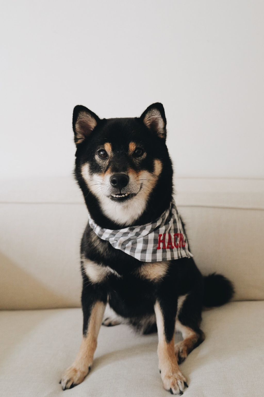 LINE_ALBUM_2025625_250626_17