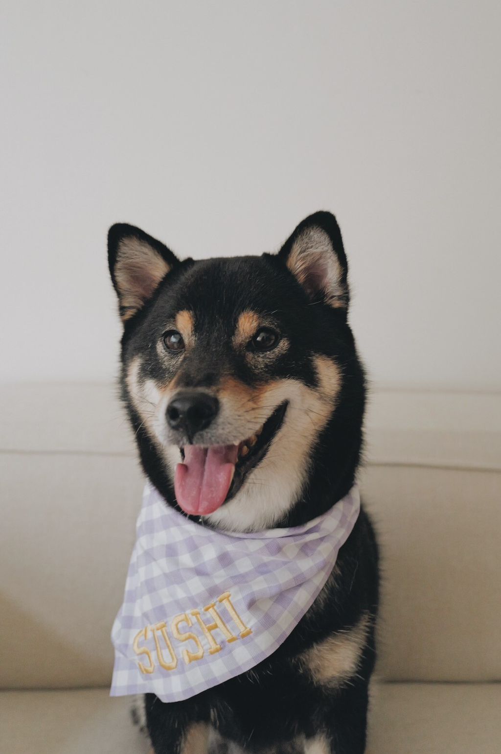 LINE_ALBUM_2025625_250626_8