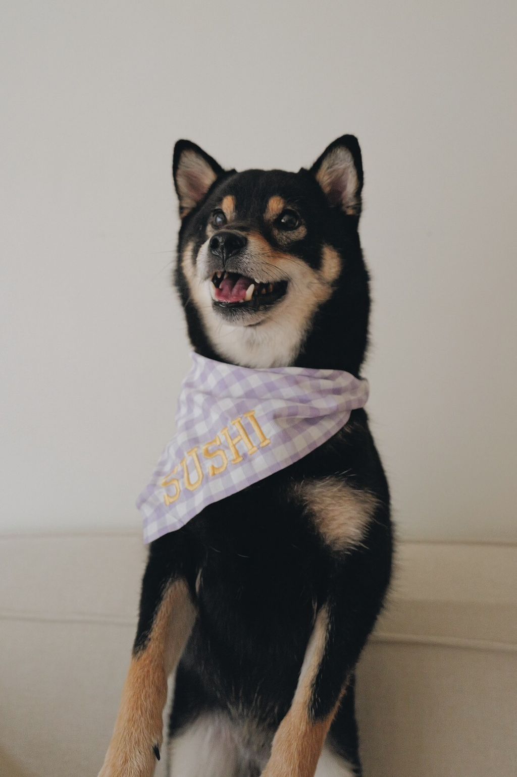 LINE_ALBUM_2025625_250626_14