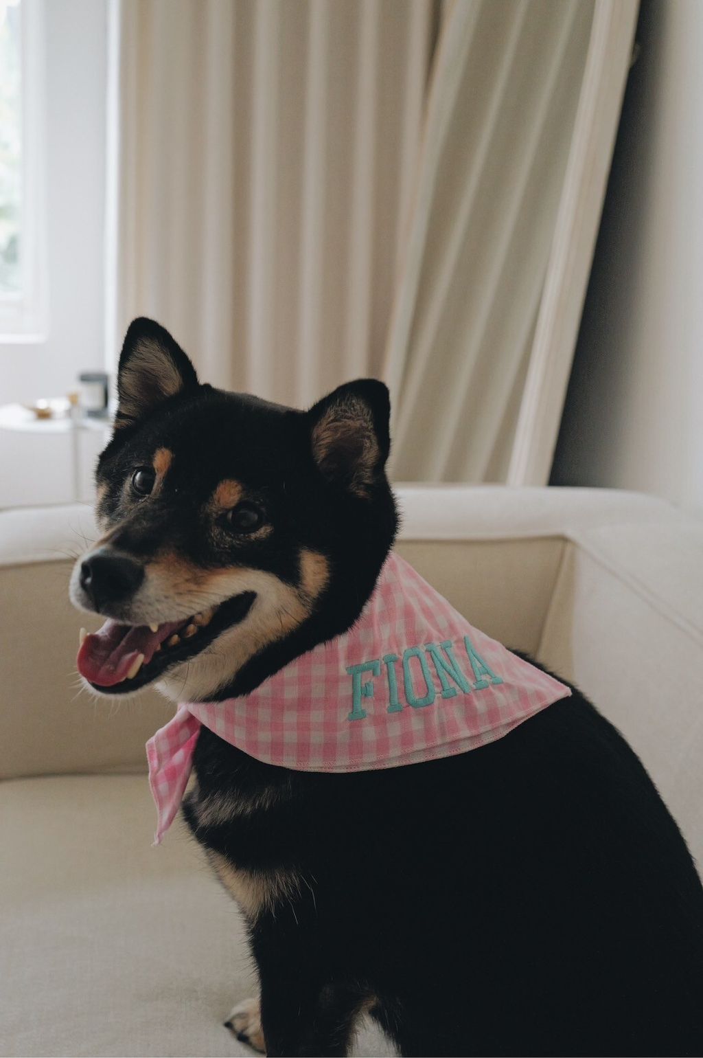 LINE_ALBUM_2025625_250626_9