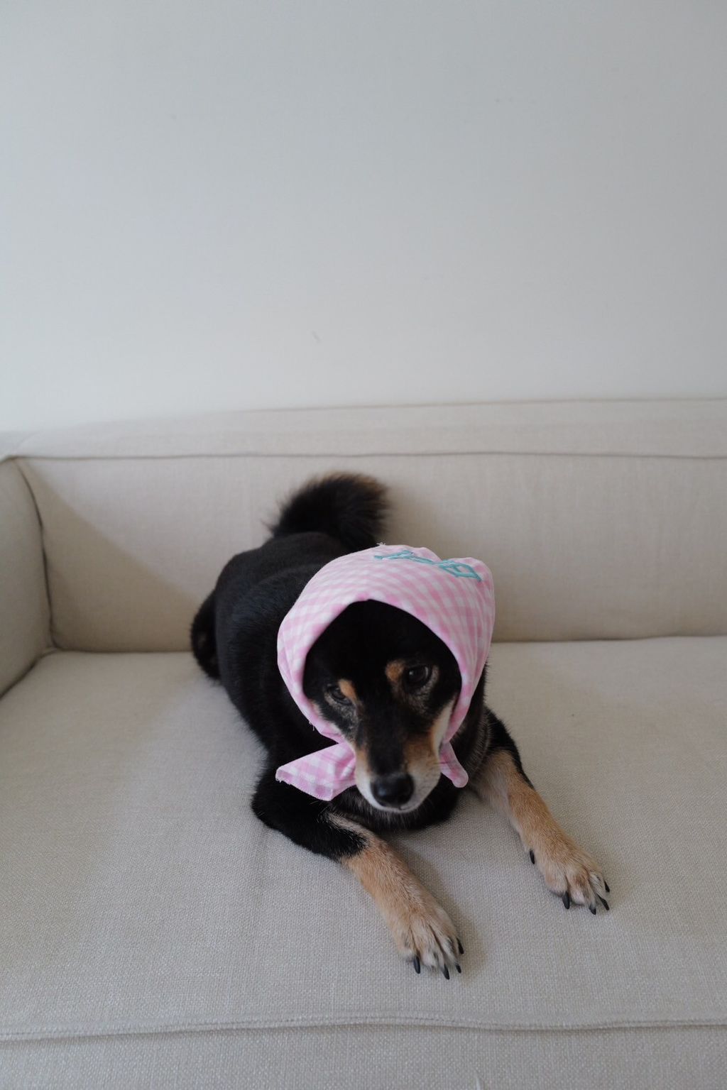 LINE_ALBUM_2025625_250626_7