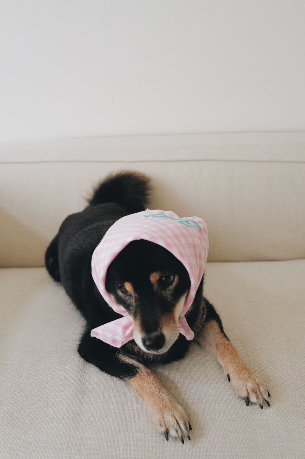 LINE_ALBUM_2025625_250626_5