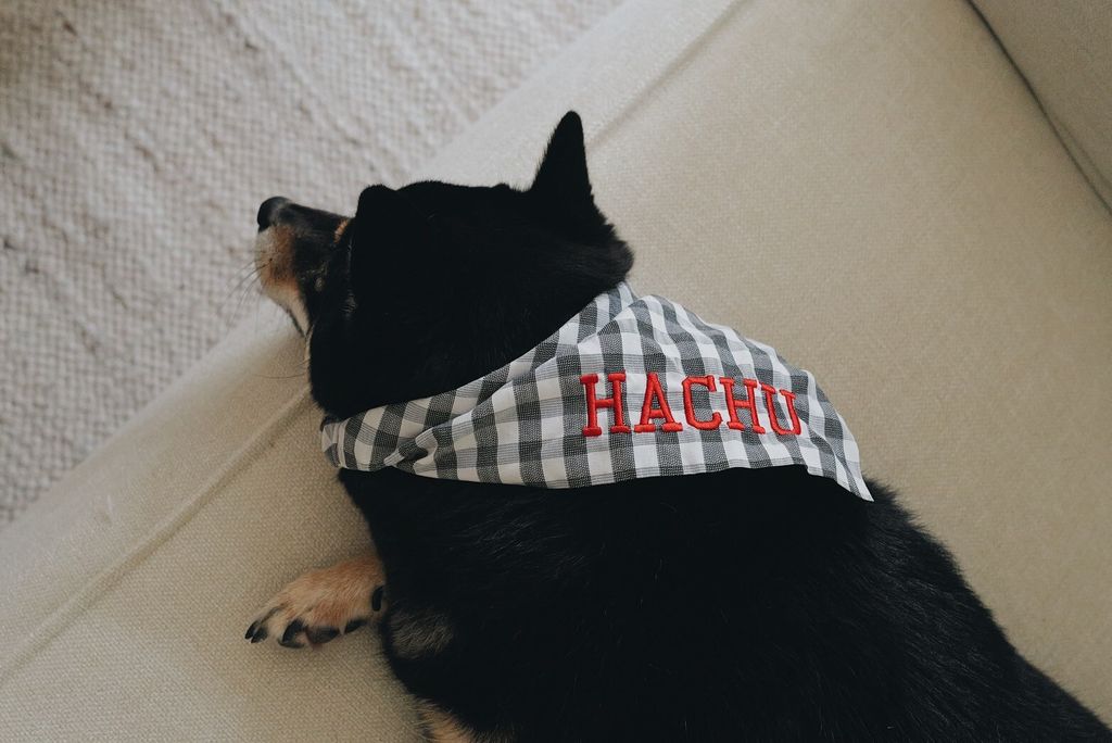 LINE_ALBUM_2025625_250626_10