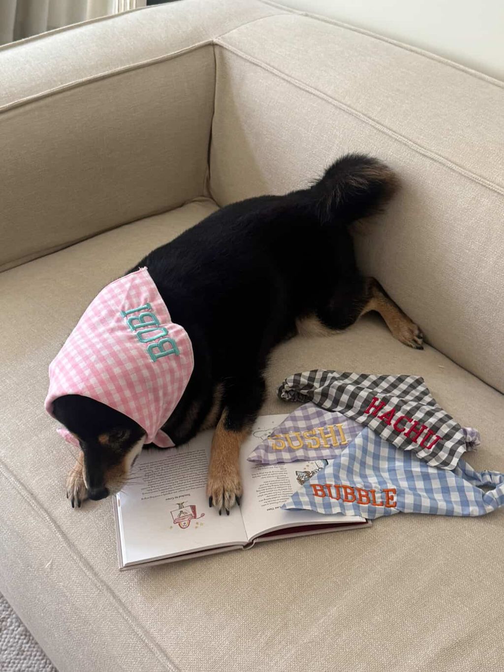 WeChat 圖片_20250625161820