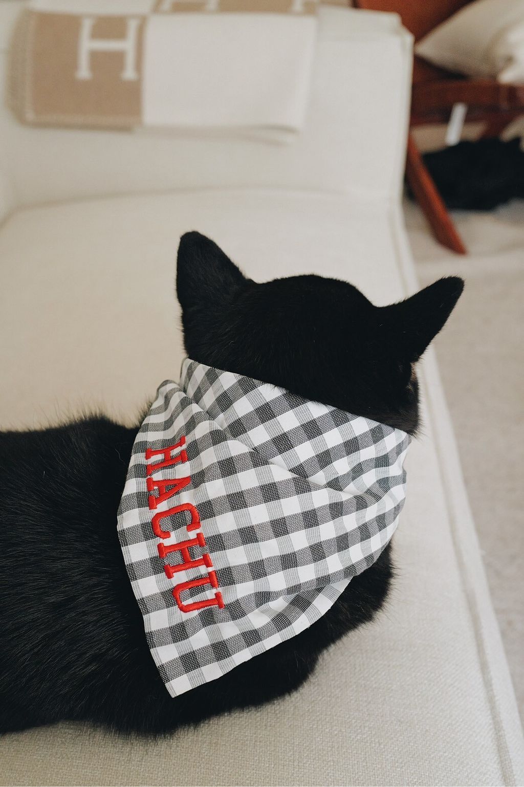 LINE_ALBUM_2025625_250626_11