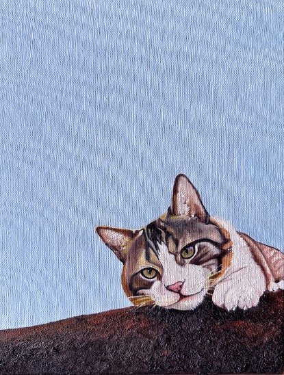 cat