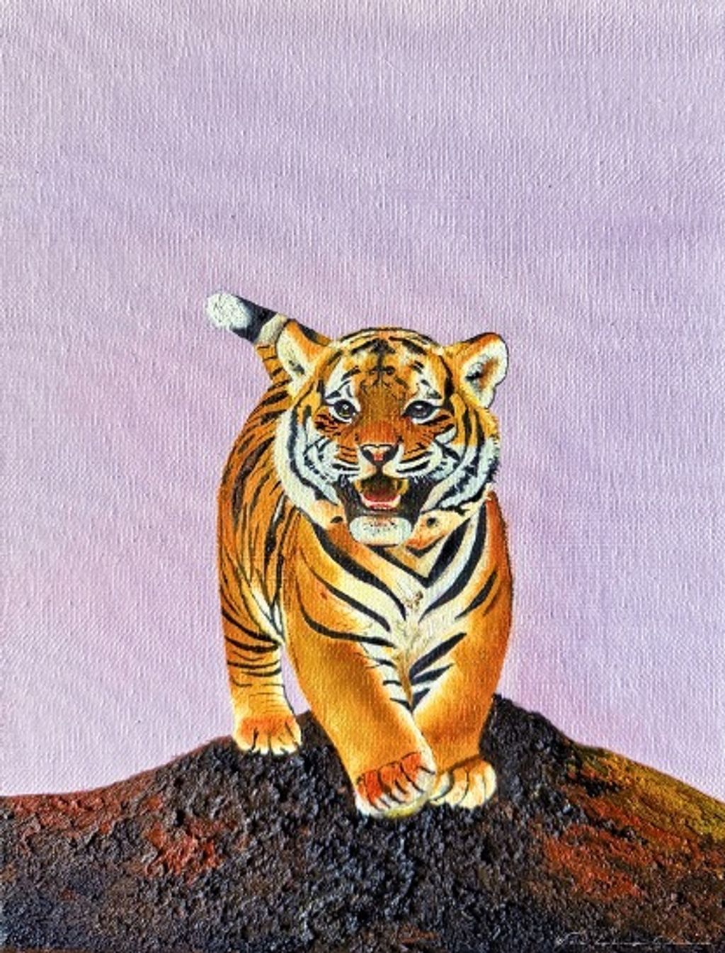 tiger