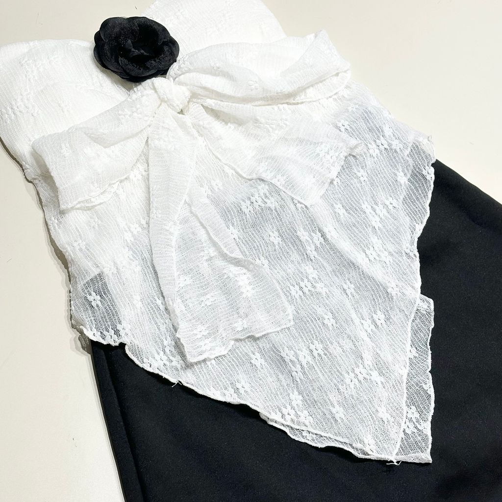 image_AC1CF45E-723B-4C7F-9CBC-3E7CC6D281FB_1773499640