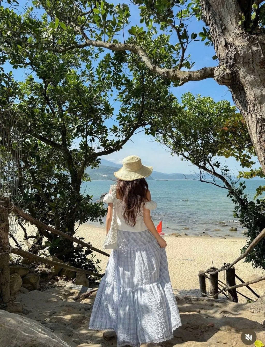 image_849A075A-491C-42EA-BBB1-493C568289B6_1787728359