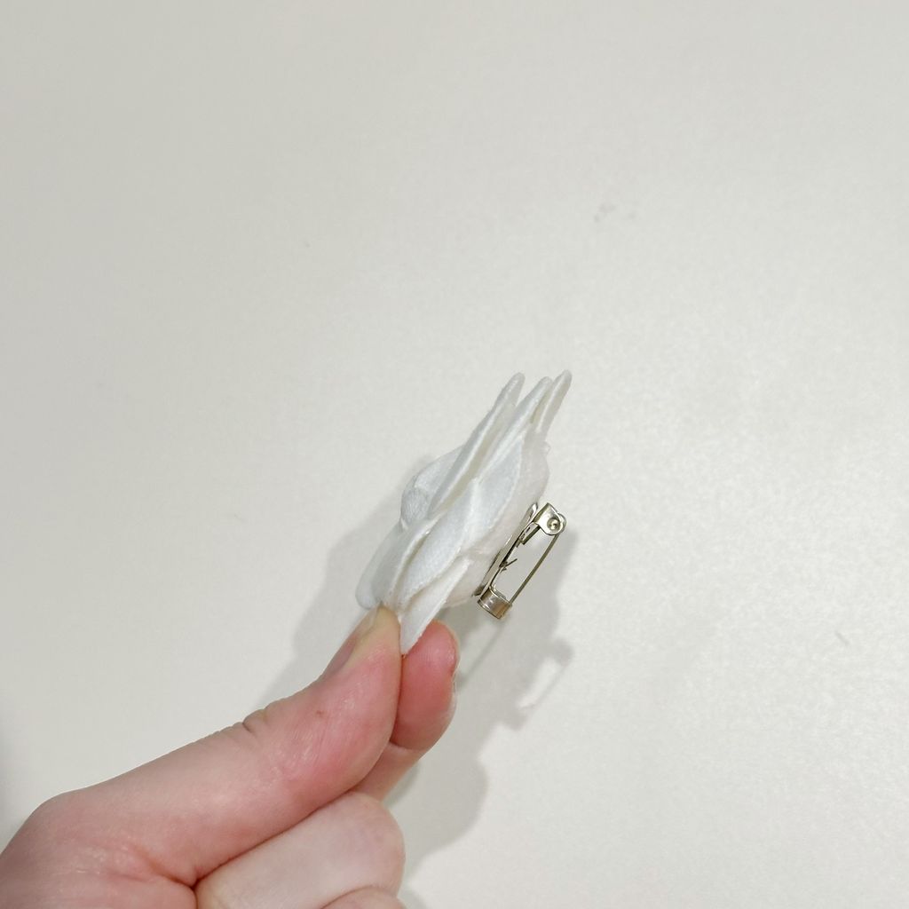 image_03DEA688-278B-4185-9475-4C95E5621786_1765806197