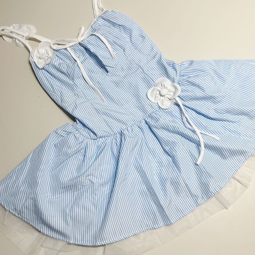 image_82FDD560-363C-4D5A-A315-084199A99E8B_1765806599