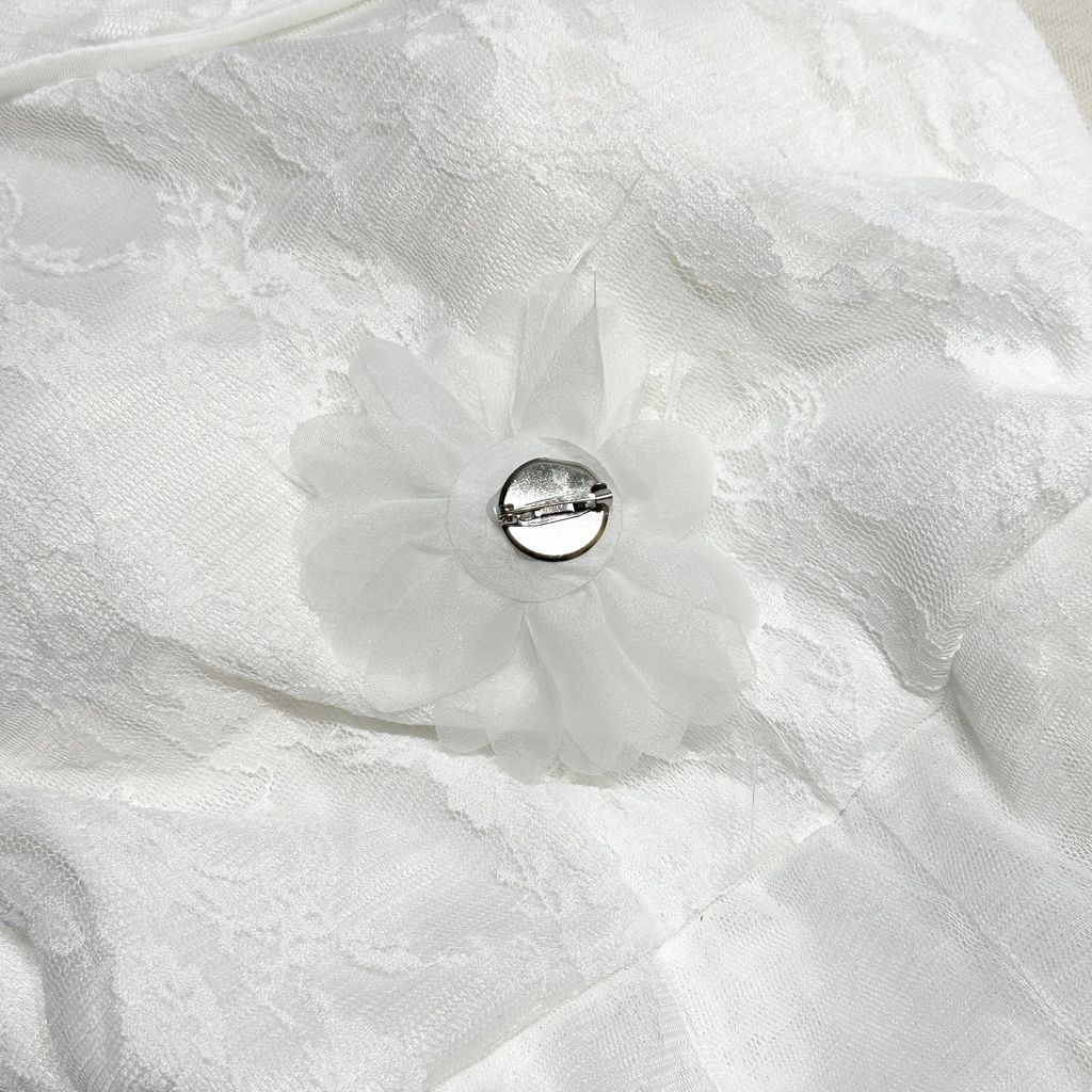 image_BF332CF4-0A7C-419E-9F6A-CEB3C535CB7D_1770217109