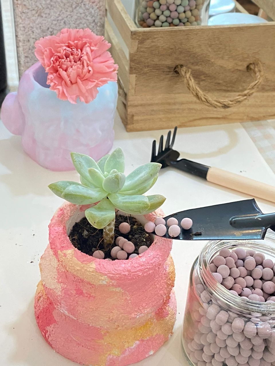 WhatsApp Image 2023-05-16 at 15.03.21