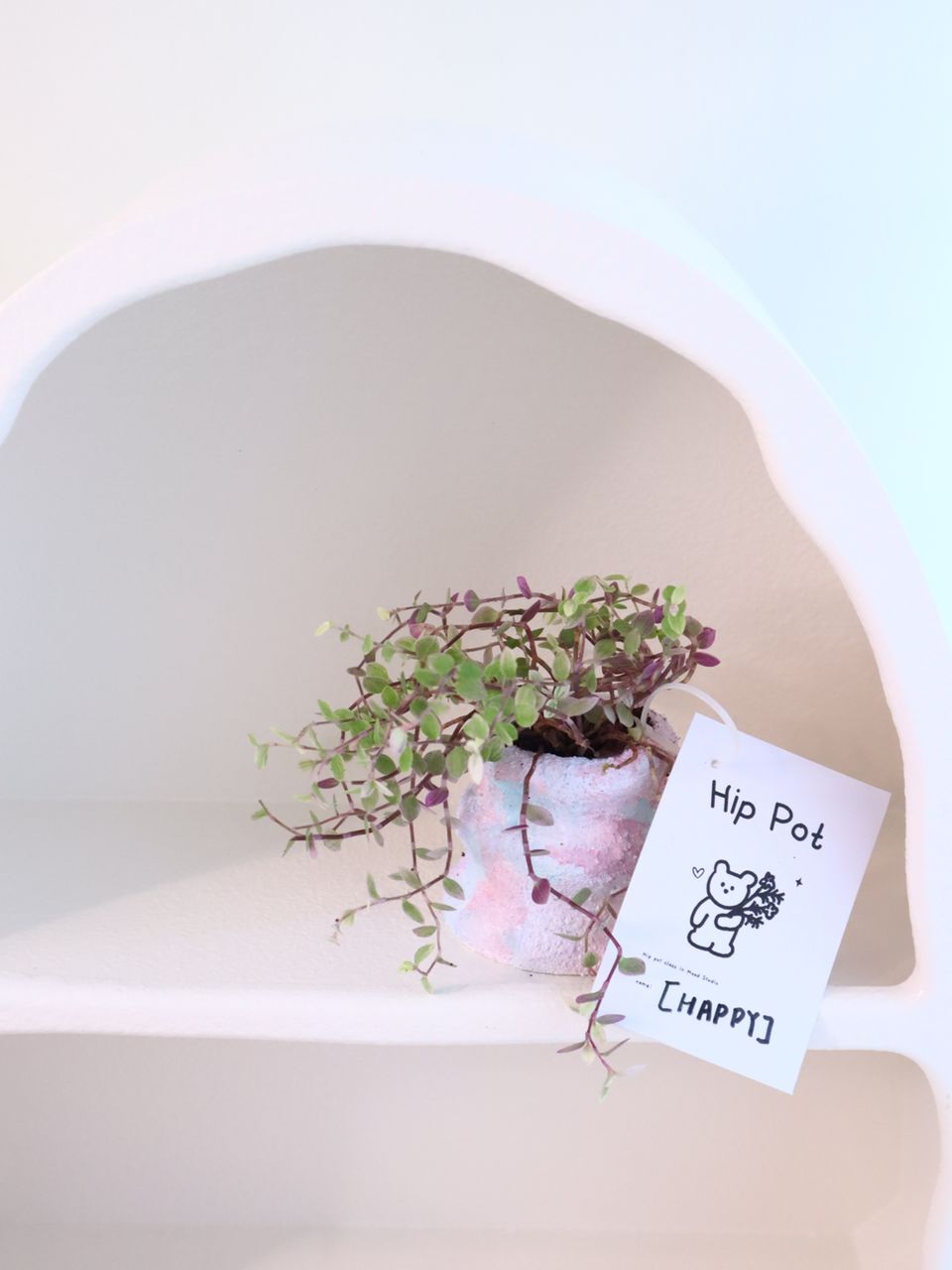 WhatsApp Image 2023-05-16 at 15.03.03