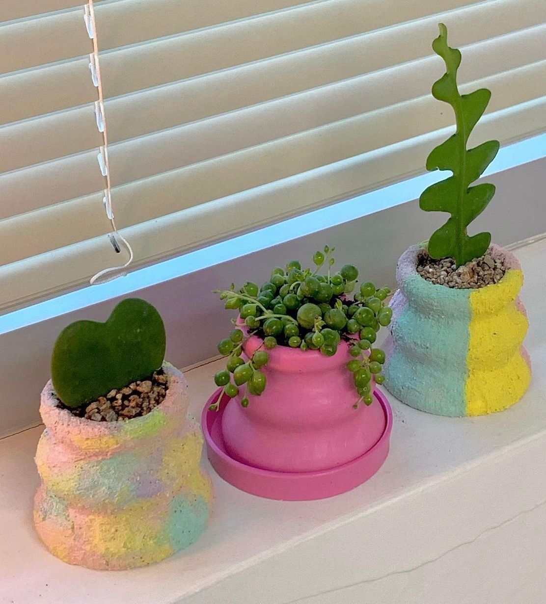 WhatsApp Image 2023-05-16 at 12.55.11