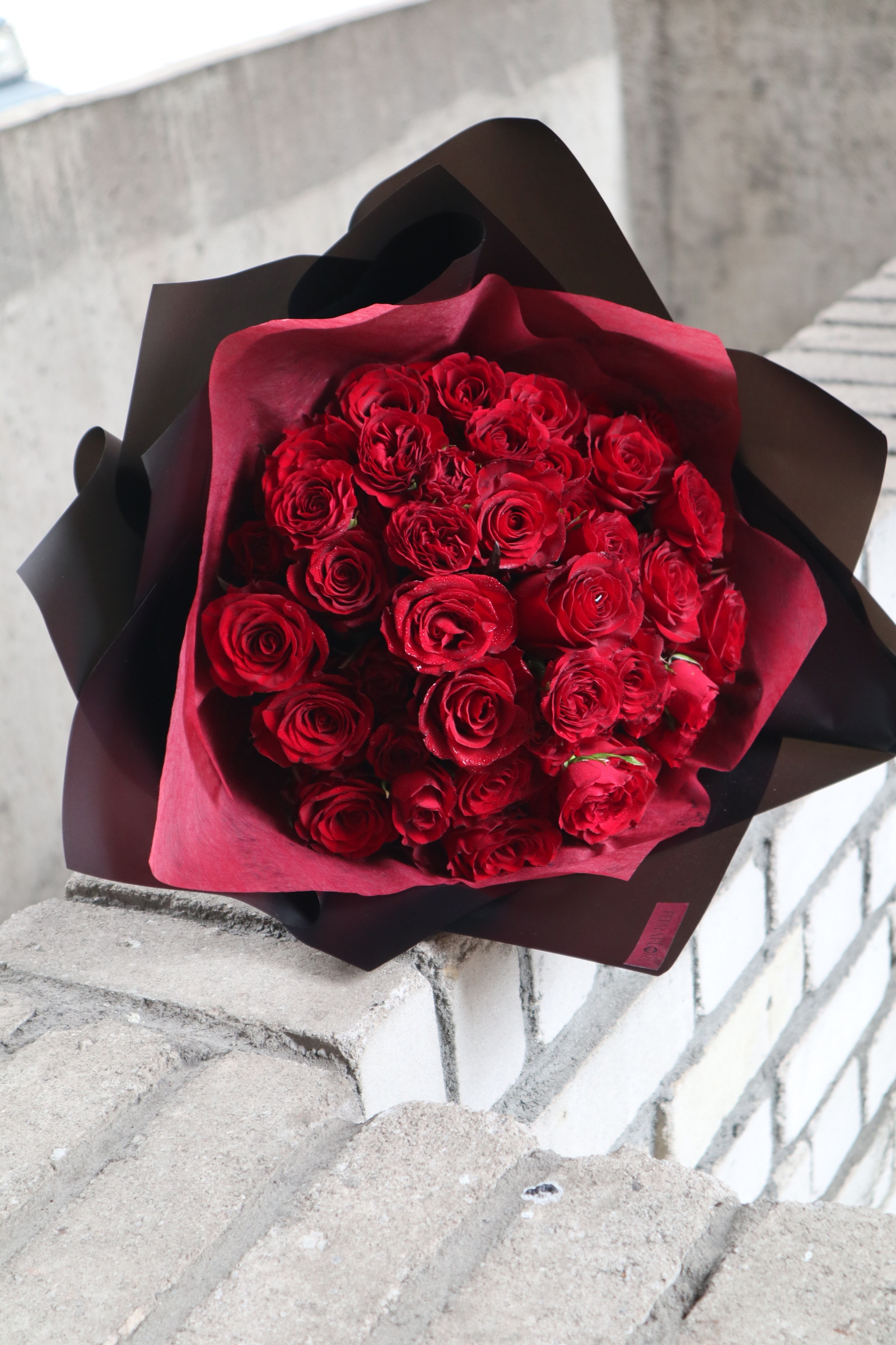 image_48C4FE16-3D9C-4C85-A885-C13BA2CA1B55_1779244714