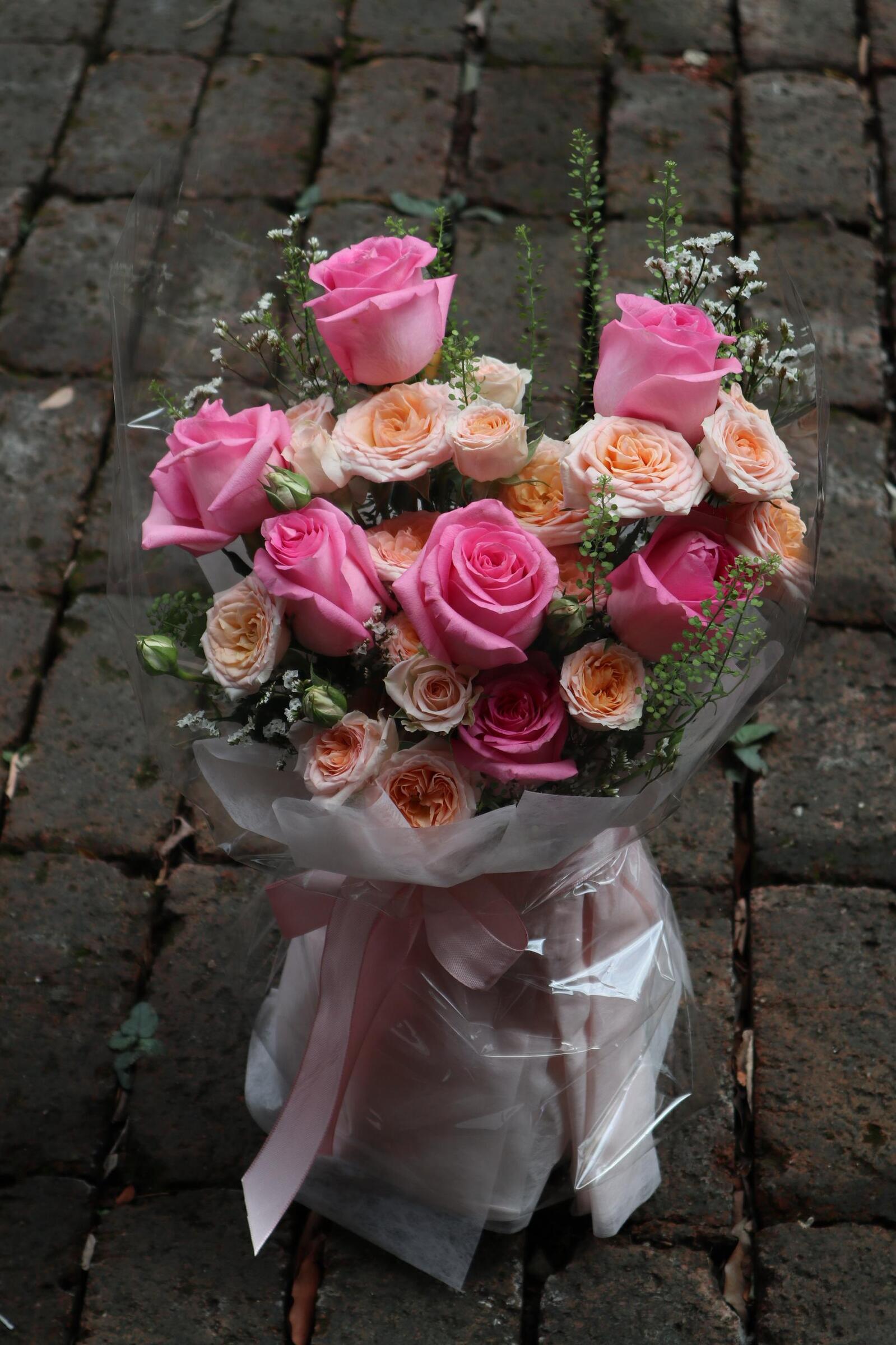 image_8571DD30-C9D1-4946-9B2B-D8BFBE2B0EED_1779245301