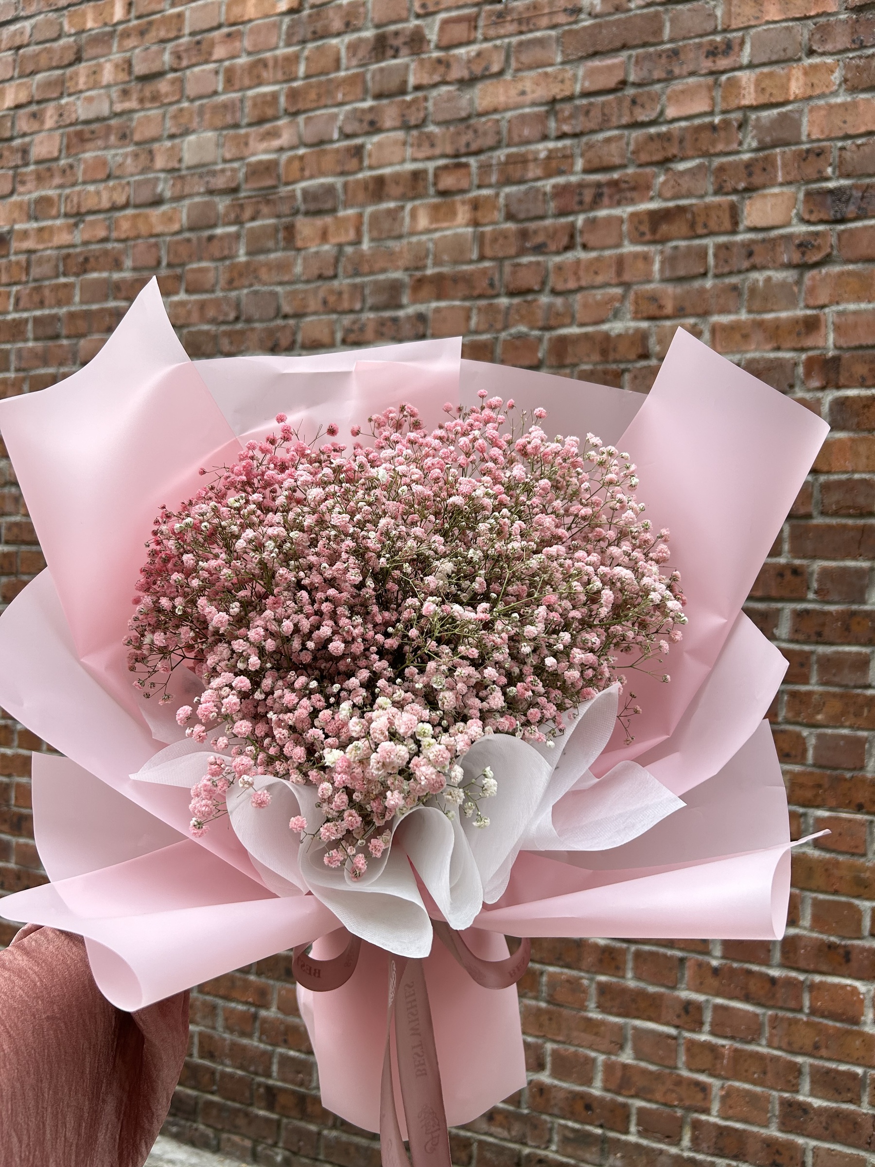 IMG_5750-1725532860190