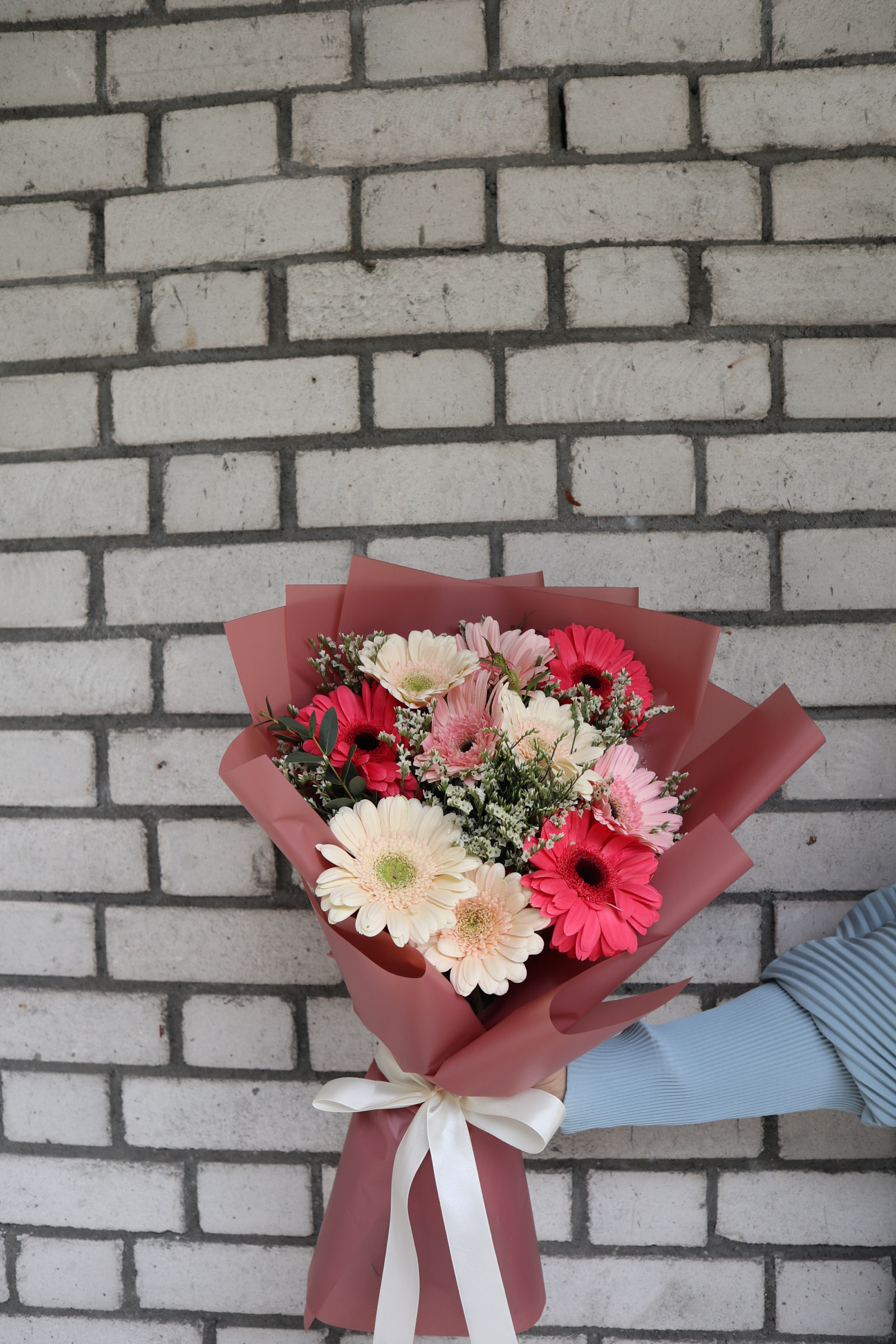 IMG_5620-1725543660544