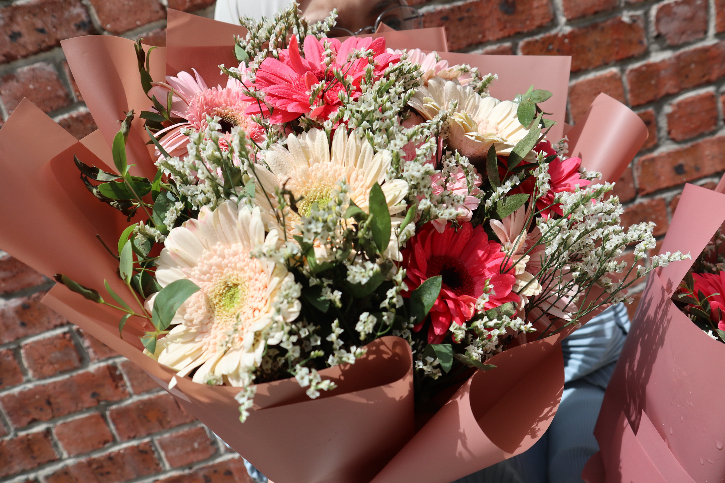 IMG_5599-1725543660551