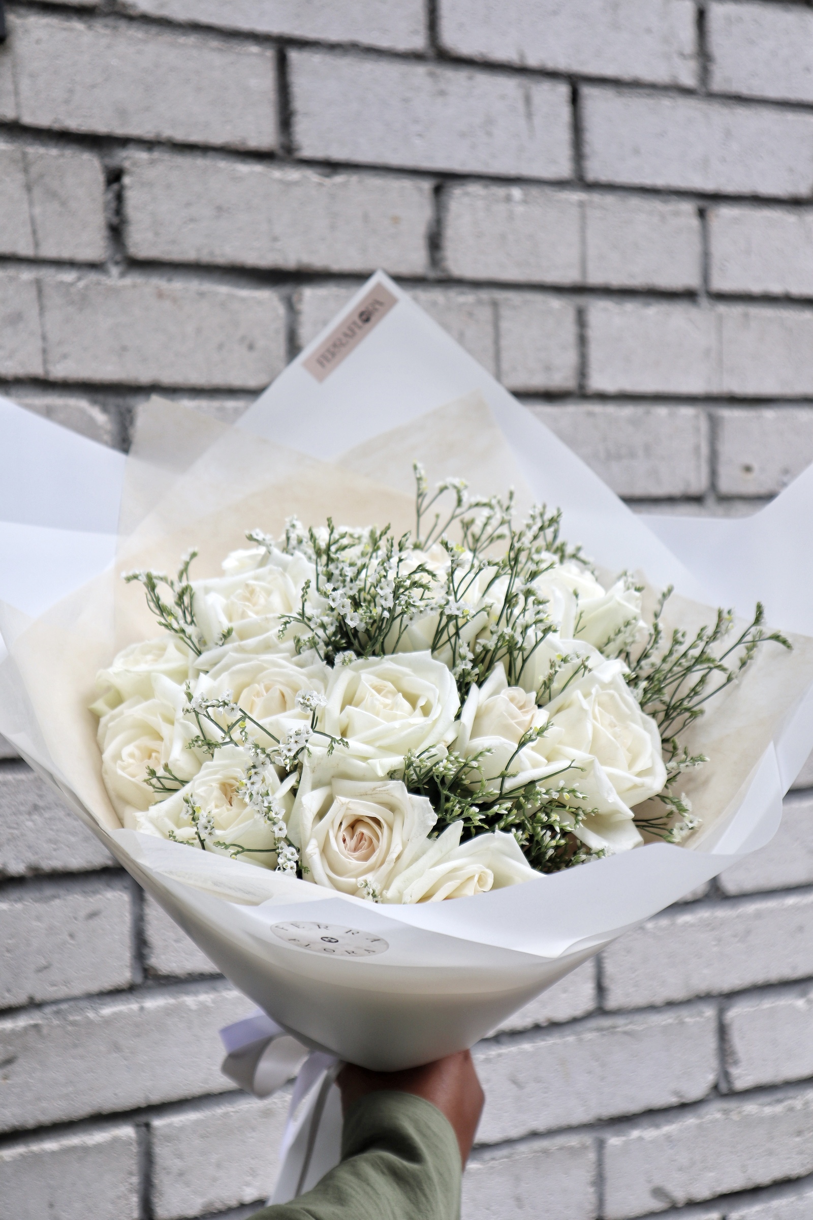 IMG_0573-1725697888824